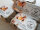 SPARSET Grafikerstellung Top10 + Top6