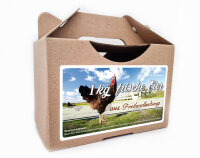 Freiland Junghennenbox in braun Version 1