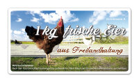 Freiland Junghennenbox in braun Version 1