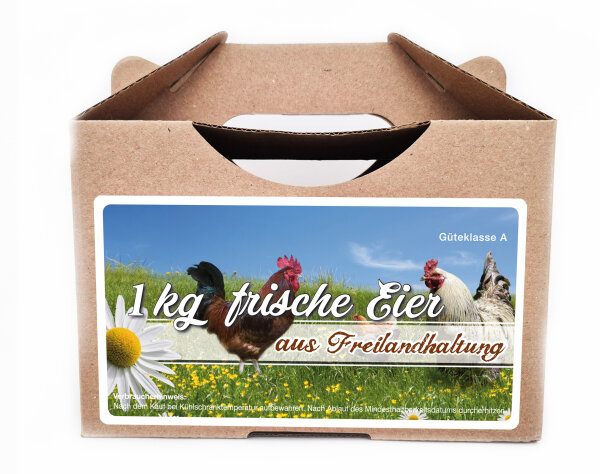 Freiland Junghennenbox in braun Version 2
