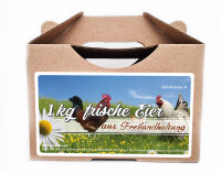 Freiland Junghennenbox in braun Version 2