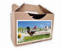 Freiland Junghennenbox in braun Version 2