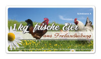 Freiland Junghennenbox in braun Version 2