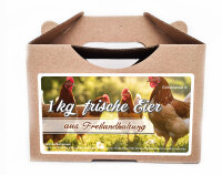Freiland Junghennenbox in braun Version 3
