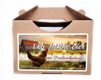 Freiland Junghennenbox in braun Version 4