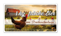 Freiland Junghennenbox in braun Version 4