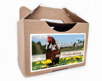 Freiland Junghennenbox in braun Version 5