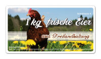 Freiland Junghennenbox in braun Version 5