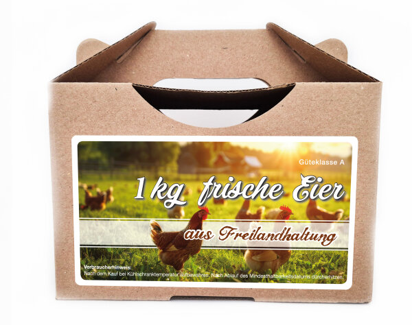 Freiland Junghennenbox in braun Version 6