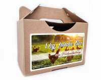 Freiland Junghennenbox in braun Version 6