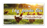 Freiland Junghennenbox in braun Version 6