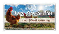 Freiland Junghennenbox in braun Version 7