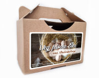 Bodenhaltung Junghennenbox in braun Version 3