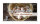 270 x Bodenhaltung Junghennenbox in braun Version 3