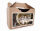 540 x Bodenhaltung Junghennenbox in braun Version 3