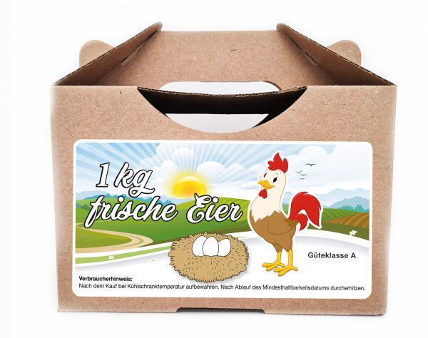 270 x frische Eier Junghennenbox in braun Version 2