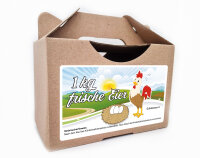 270 x frische Eier Junghennenbox in braun Version 2