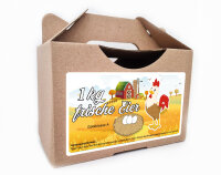 540 x frische Eier Junghennenbox in braun Version 4